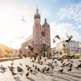 nietypowe kawiarnie Kraków - miejsca na rynku