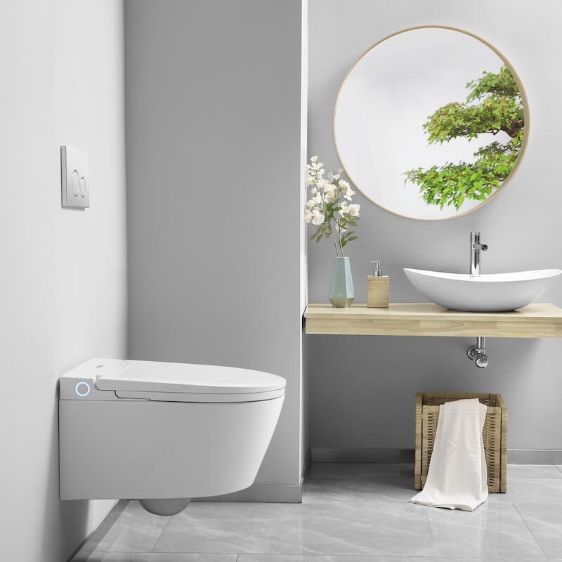 bidet czy toaleta myjąca w białym kolorze