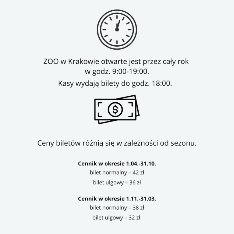 ZOO Kraków – jak dojechać i co można w nim zobaczyć? Praktyczny ...