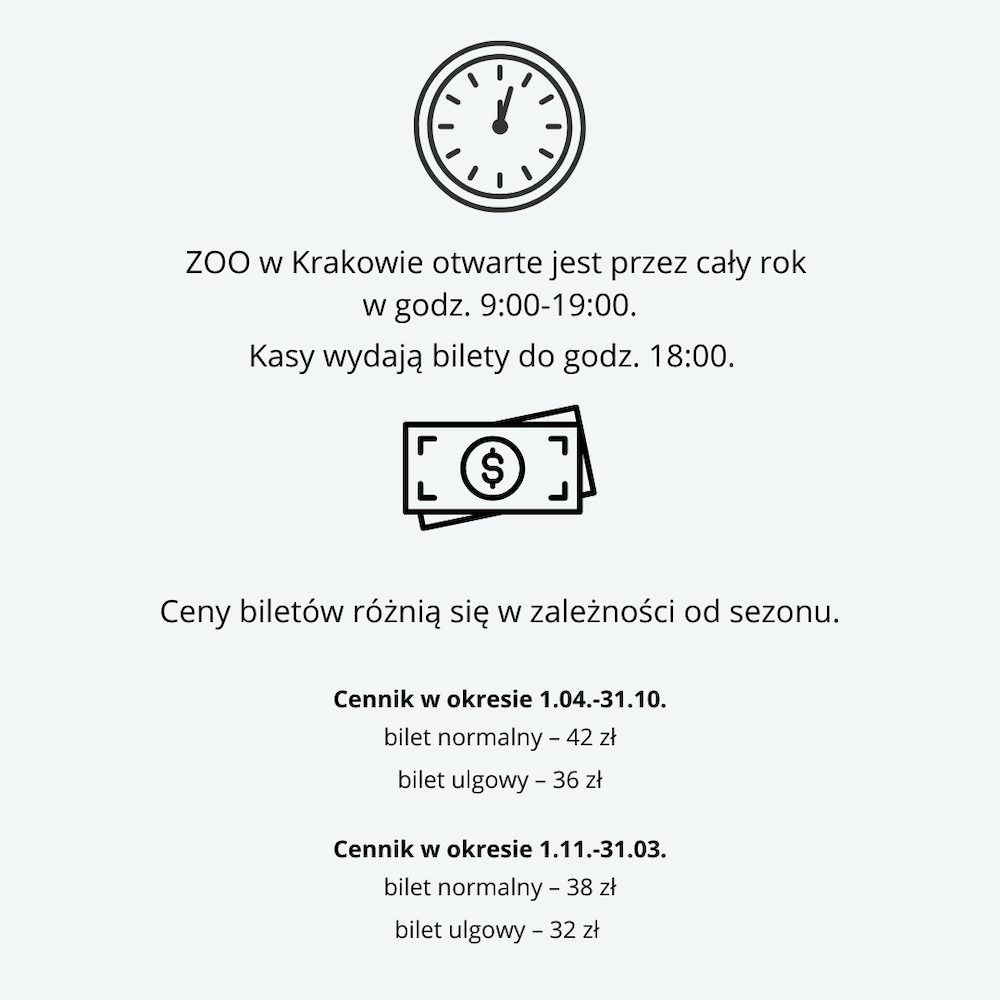 ZOO Kraków – jak dojechać i co można w nim zobaczyć? Praktyczny ...