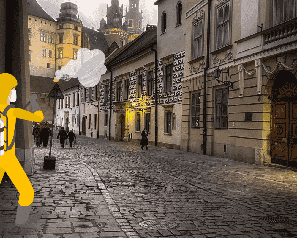 dezynsekcja kraków