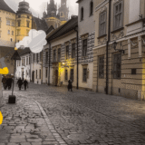 dezynsekcja kraków