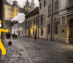 dezynsekcja kraków