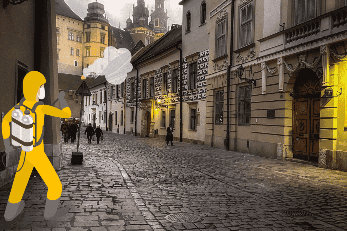 dezynsekcja kraków